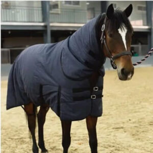 cheval brun avec une couverture anti mouche de couleur bleue